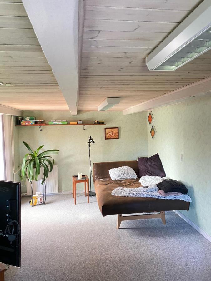 Lilleledgaard Country House リンケビング エクステリア 写真