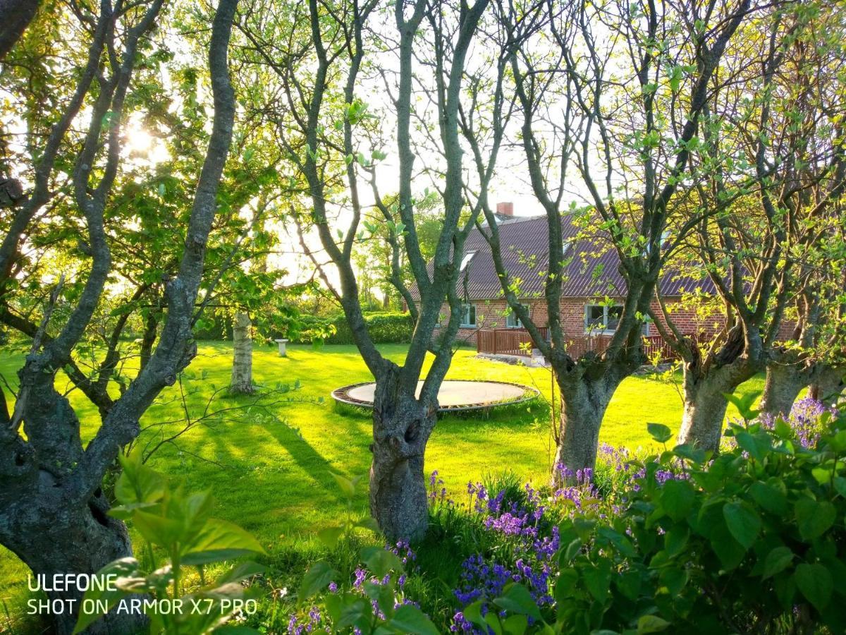 Lilleledgaard Country House リンケビング エクステリア 写真