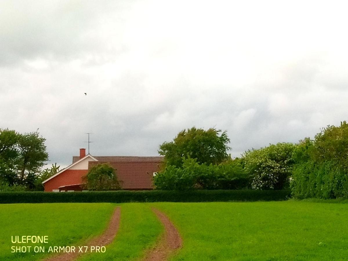 Lilleledgaard Country House リンケビング エクステリア 写真